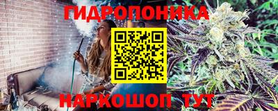 молекула духа Бузулук