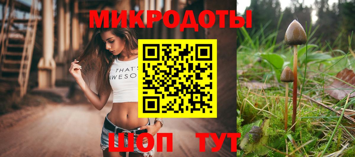 Псилоцибиновые грибы Cubensis  Псилоцибиновые грибы MAGIC MUSHROOMS  Вход с VPN  Чапаевск 